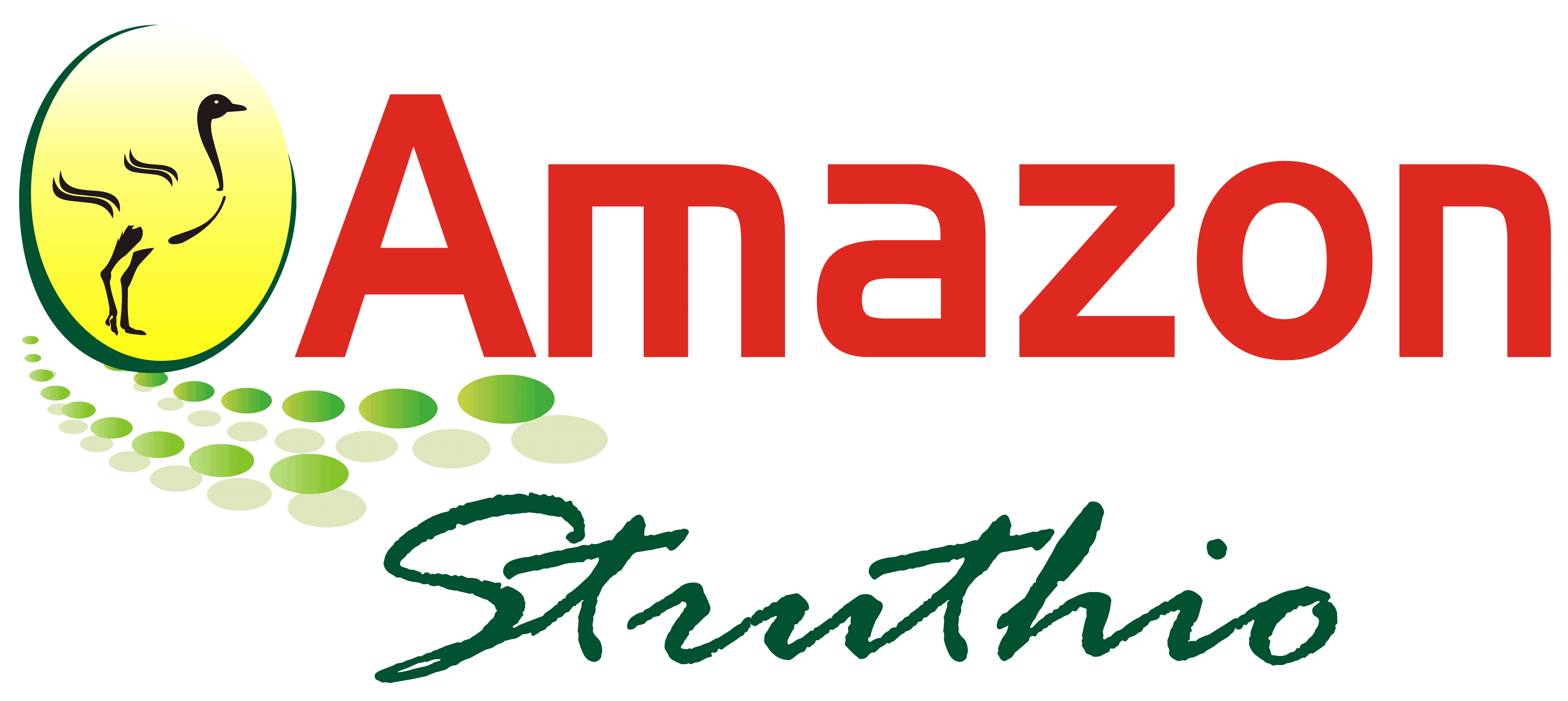 Amazon Struthio Loja Oficial