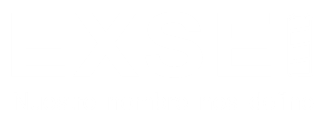 EXSEI S.A.