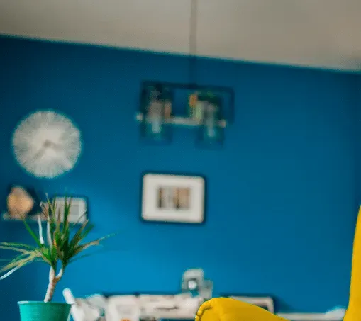 Blur background image alt.