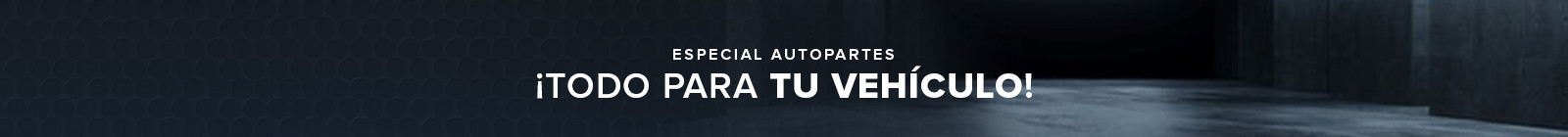 Header IMG ALT