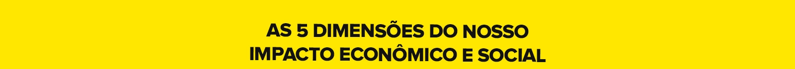 As 5 dimensões do nosso impacto econômico e social.