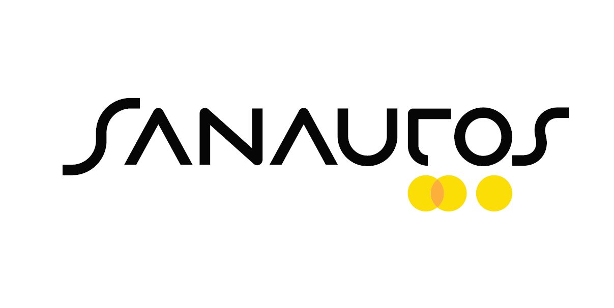 RENAULT SANAUTOSVIRTUAL