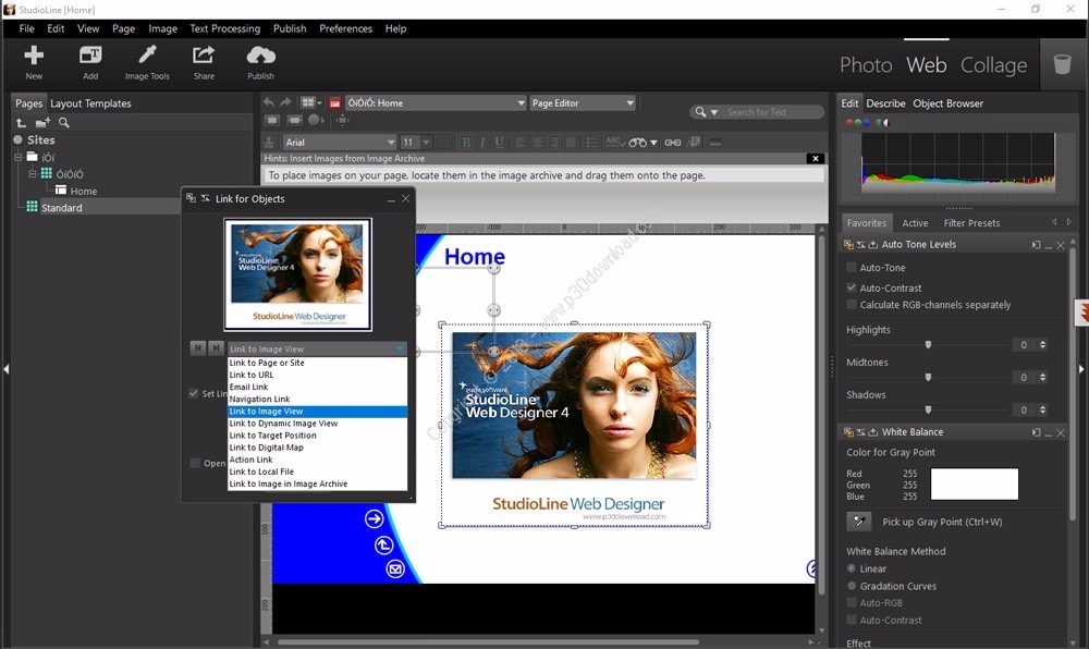 Resultado de imagen para StudioLine Web Designer 4.