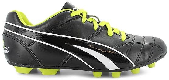 puma pro cat