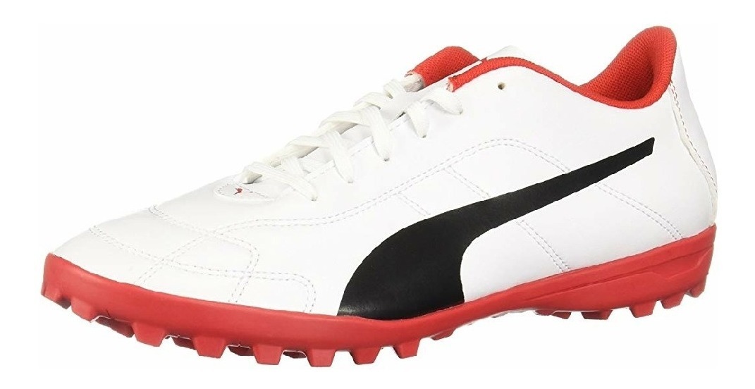 puma voltage puma voltage