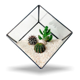 Terrario Tropical Geometric Cube - Mica&maco