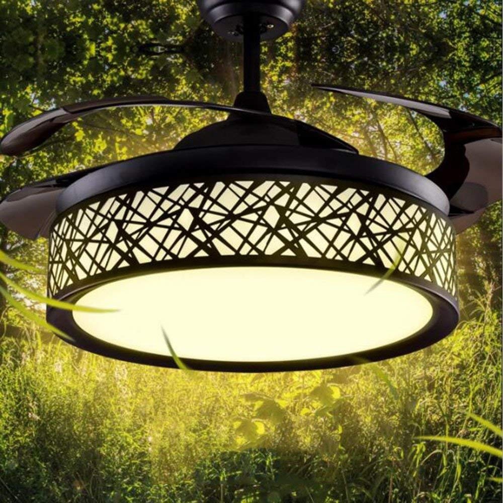Tipton Light Black Retractable Ceiling Fan With Bird S Nest Tipton Light Black Retractable Ceiling Fan With Bird S Nest Cargando Zoom