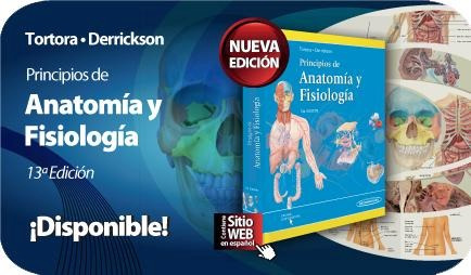 anatomia y fisiologia del cuerpo humano tortora
