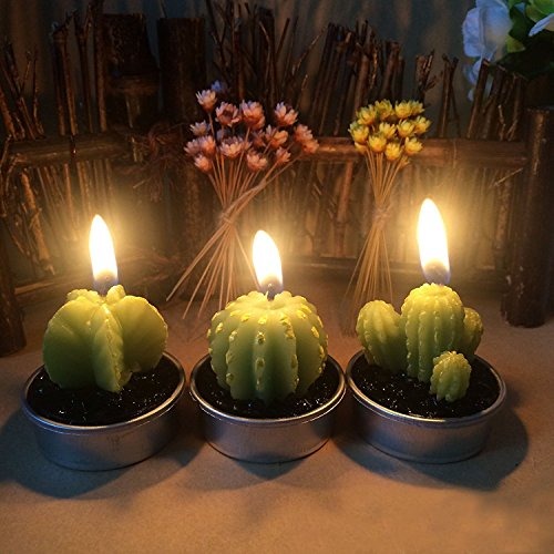 Vela De Cactus, Hooke 6 Pack Velas Decorativas De Cactus Ve ...