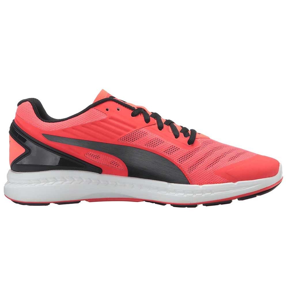 {keywor d} puma ignite v2 hombre