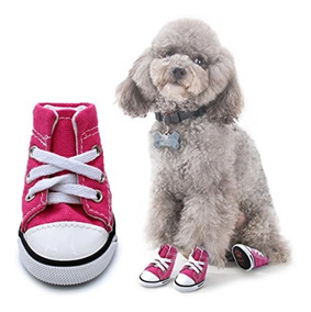 converse para perros