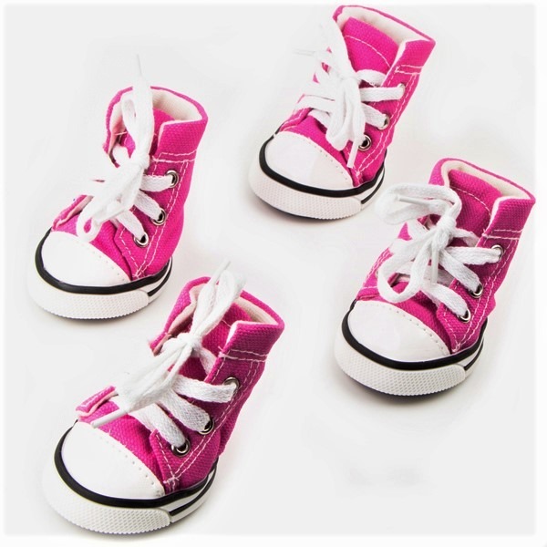 converse perro converse perro