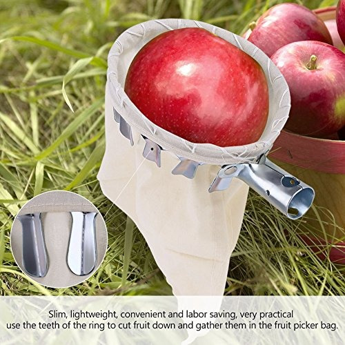 14cm de di/ámetro 20cm de profundidad Herramientas de recolecci/ón de frutas Recogedor de frutas Recogedor de frutas Cesta de la cosecha para la recolecci/ón de la cosecha Manzana C/ítrica Pera Melocot/ón